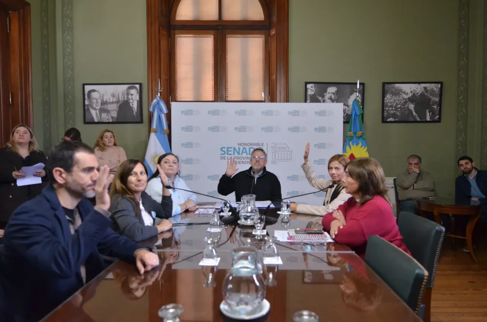 Comisión Asuntos Municipales Senado BA