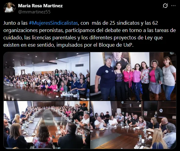 Con más violencia de género y menos políticas nacionales, el Senado bonaerense mueve ficha