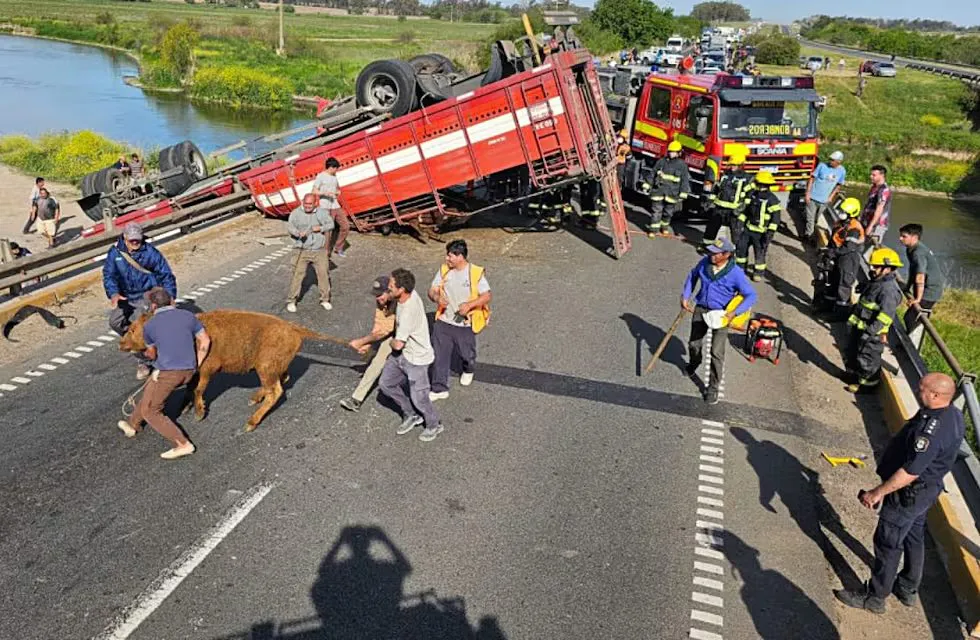 Denuncian “cancha libre” para el robo de carne y ganado en rutas bonaerenses