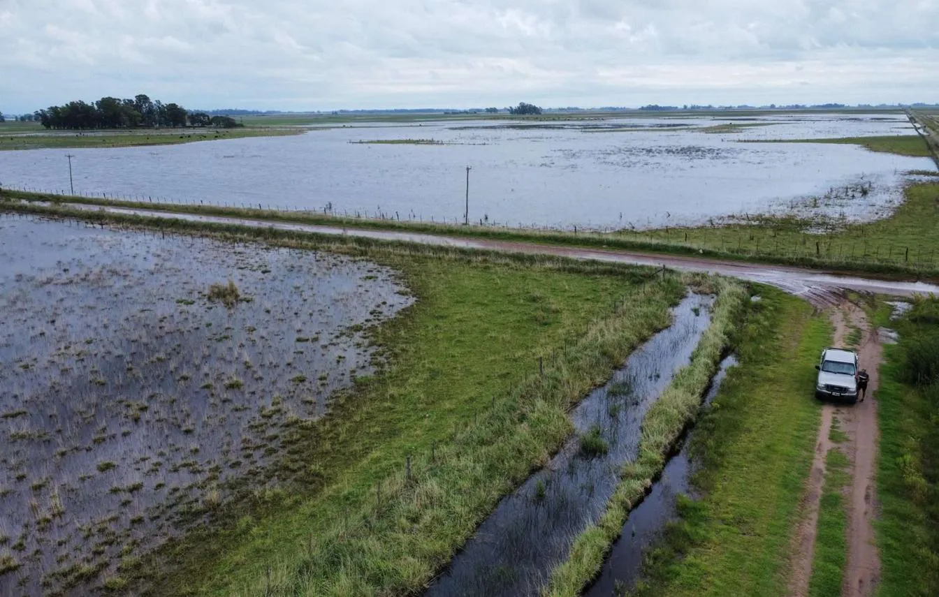 Productores de Nueve de Julio exigen soluciones urgentes por inundaciones y caminos colapsados