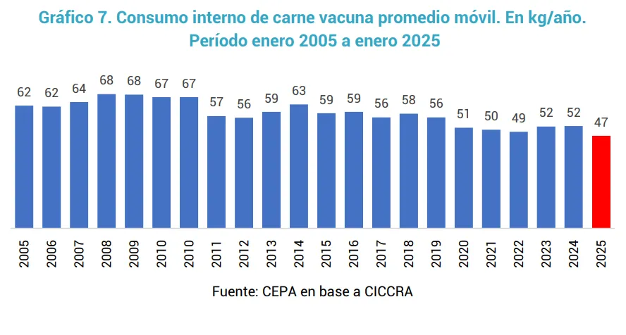 Precios de la carne: leve alza, consumo a la baja y récord de exportaciones Precios de la carne: leve alza, consumo a la baja y récord de exportaciones