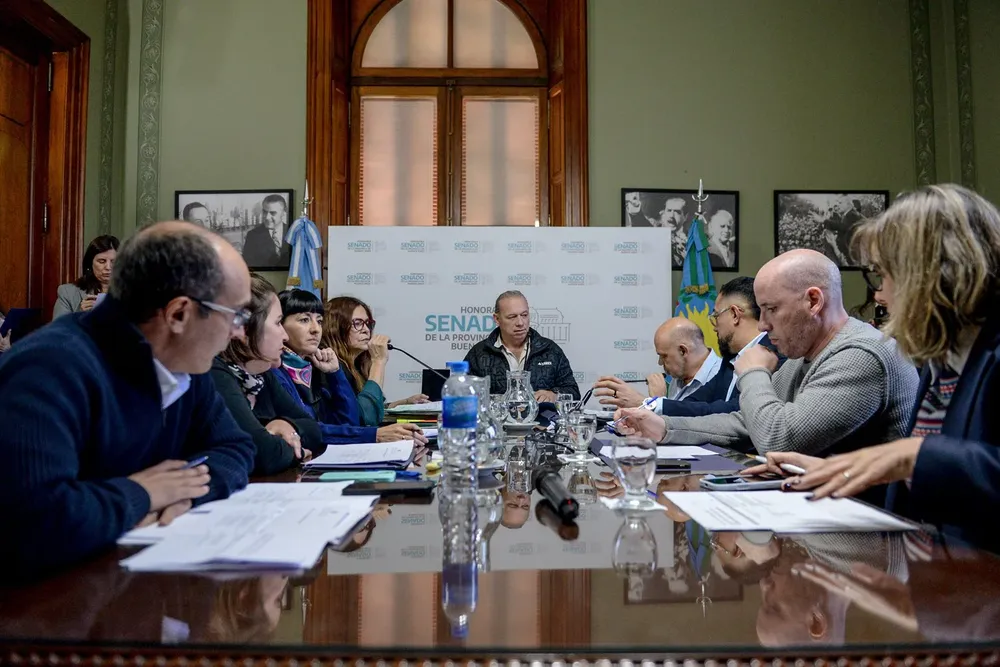 Comisión de Seguridad Senado BA