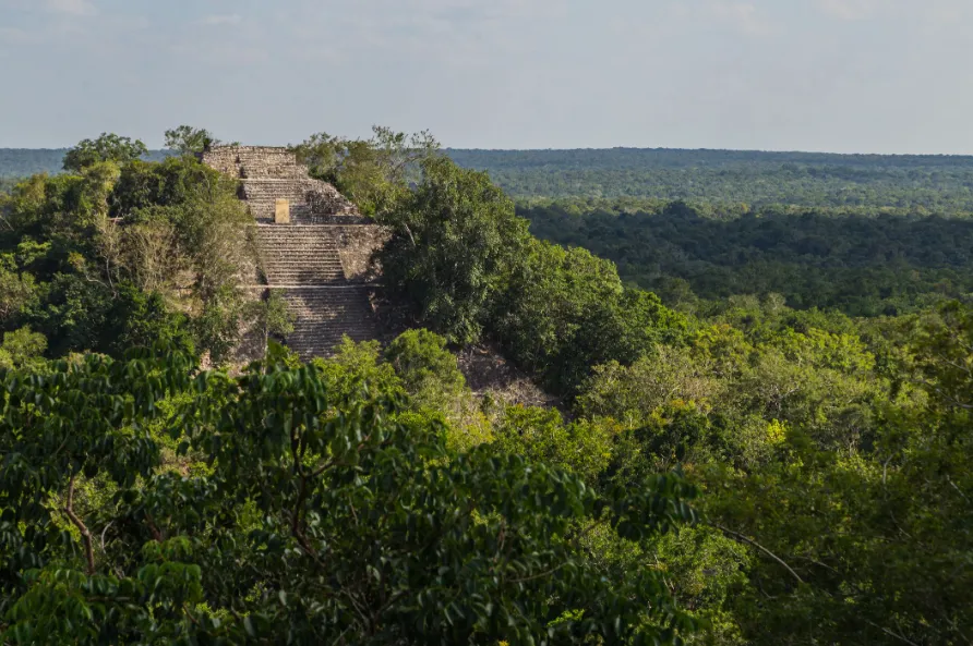 Descubren en México una gran ciudad maya oculta por la vegetación (Foto ilustrativa)