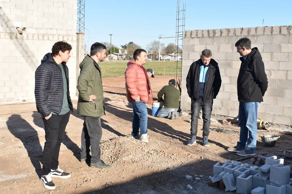 Avanza la planta de papa