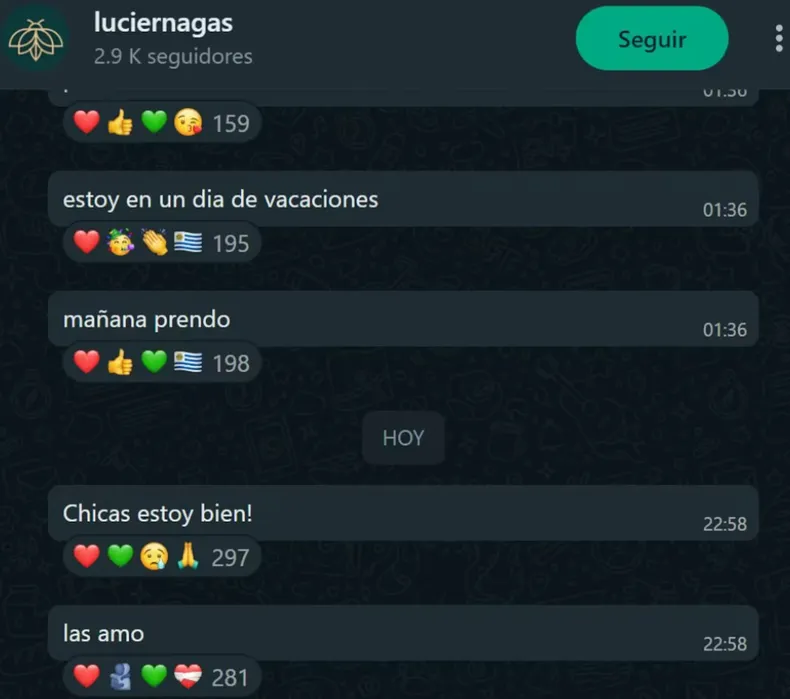 La tercera en discordia: ¿qué pasó entre Lucía y Nico? La tercera en discordia: ¿qué pasó entre Lucía y Nico?