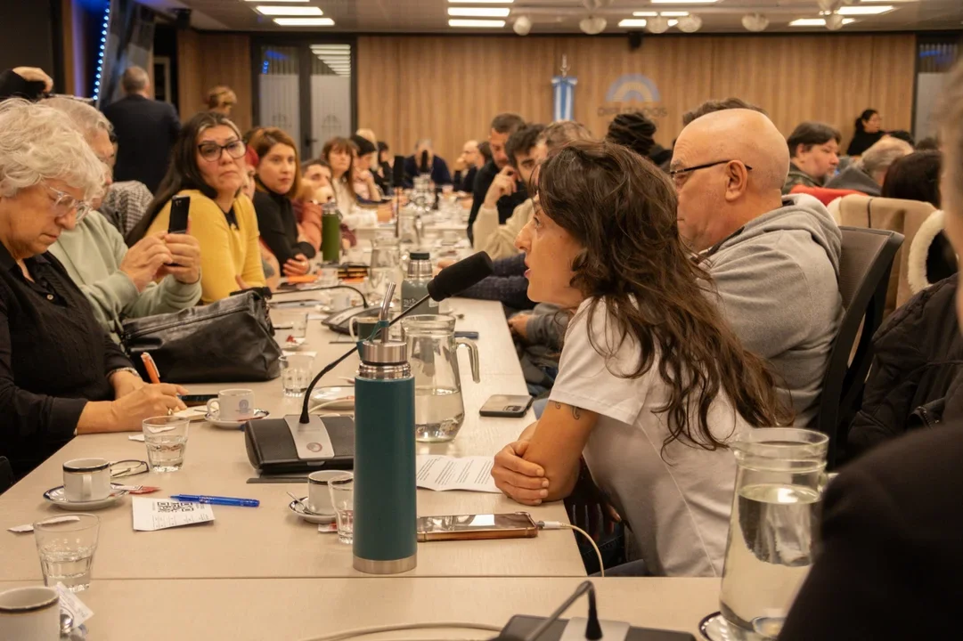 Diputados Comisión Discapacidad