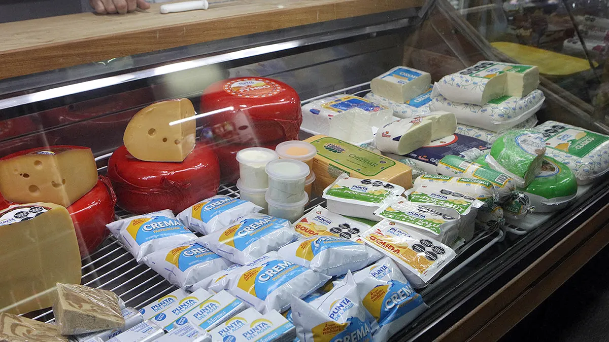 Lácteos - leche - queso