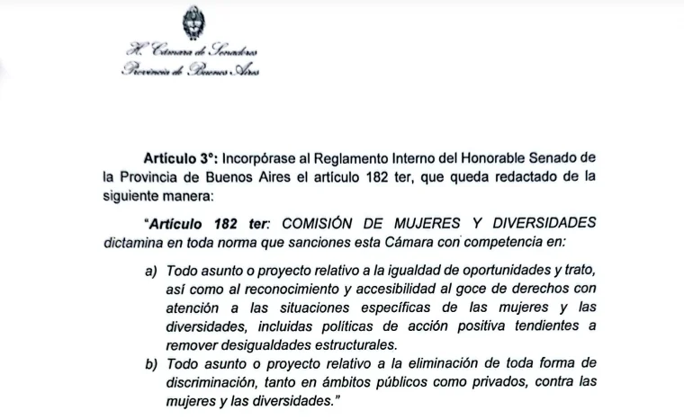 Con más violencia de género y menos políticas nacionales, el Senado bonaerense mueve ficha