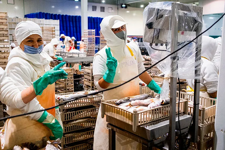 El sector pesquero exige quitar retenciones para evitar el deterioro económico en el litoral marítimo