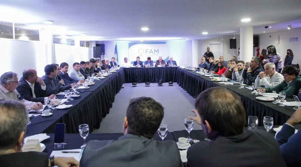 La “ley hojarasca” y el intento de diluir el reclamo de los intendentes