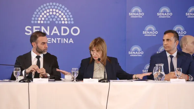 Bullrich Senado Reforma Laboral