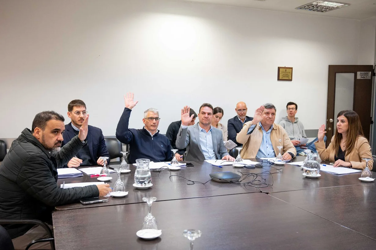 Reunión ordinaria de la comisión de Seguridad y Asuntos Penitenciarios, bajo la presidencia del diputado Puglelli.