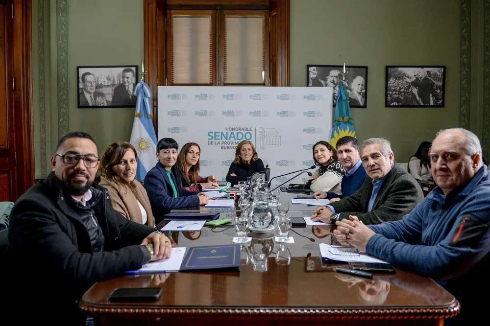 Comisión de Trabajo Senado BA